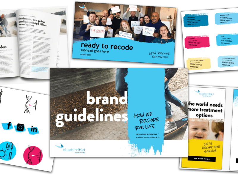 recode for life: bluebird bio’s new corporate&nbsp;brand