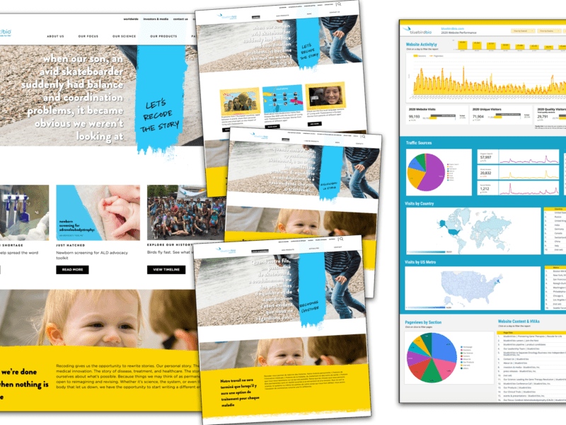 bluebird bio: Global and Local&nbsp;Websites